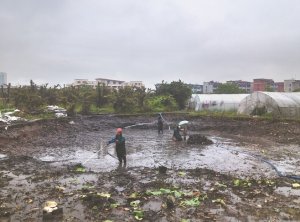 黎川河道鱼塘清淤